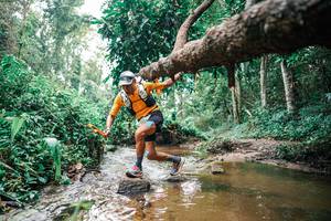 BIB: 
                            <button type="button" onclick="openModal(25368622)" class="btn btn-primary btn-sm float-right btn-popup" data-toggle="modal" data-target=".modal-high-quality">
                        <i class="fas fa-shopping-cart"></i> Add to Cart
                    </button>
                                            <button type="button" onclick="isThisMe(25368622, true)" class="btn btn-success btn-sm float-right btn-popup btn-isme hidden" data-toggle="tooltip" data-placement="bottom" title="นี่คือรูปของคุณใช่ไหม คลิกที่นี่เพื่อเอาเข้าอัลบั้ม">
                        <i class="fas fa-plus"></i> Add to album
                    </button>
                    <button type="button" onclick="isThisMe(25368622, false)" class="btn btn-warning btn-sm float-right btn-popup btn-isnotme hidden">
                        <i class="fas fa-ban"></i> Remove from album
                    </button>